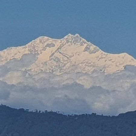 New Bloom Homestay Kurseong Luaran gambar