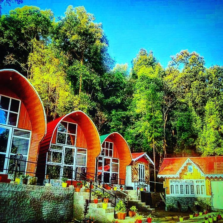 New Bloom Homestay Kurseong Luaran gambar