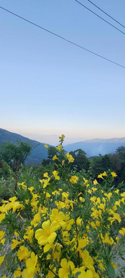 New Bloom Homestay Kurseong Luaran gambar