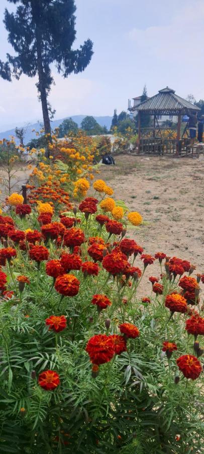 New Bloom Homestay Kurseong Luaran gambar