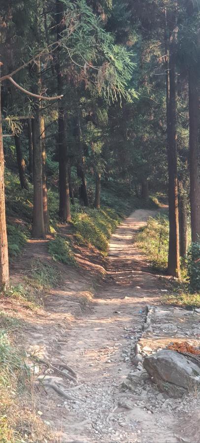 New Bloom Homestay Kurseong Luaran gambar
