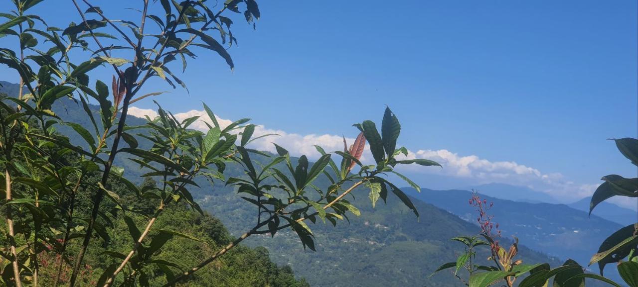 New Bloom Homestay Kurseong Luaran gambar