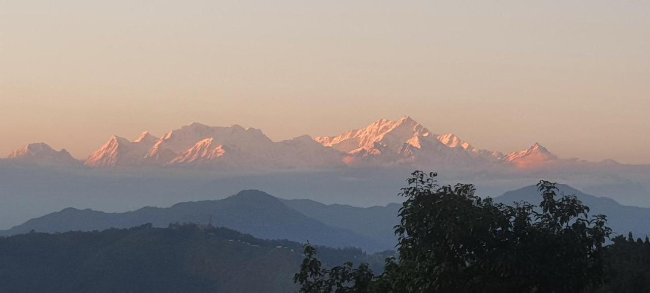 New Bloom Homestay Kurseong Luaran gambar